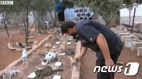 고양이에게 먹이를 주고 있는 무함마드 알라 알자릴.(사진 BBC 영상 캡처)© News1