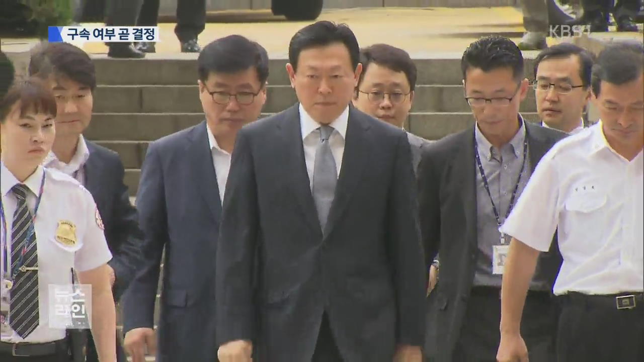 신동빈 롯데 회장, 김형준 부장검사 구속여부 곧 결정 - KBS