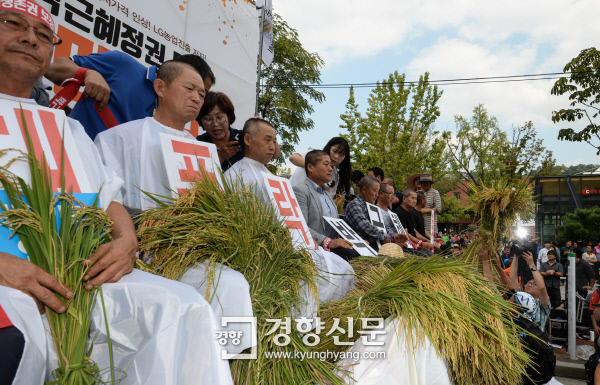 21만원 대신 13만원.. 정부가 외면한 쌀값 - 경향신문