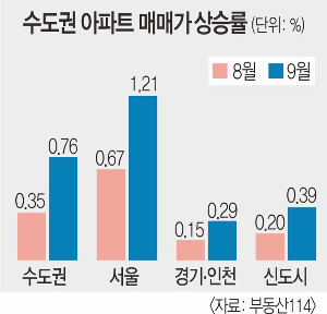집값 올린 '집값 대책'.. 8·25 가계대책 되레 '역풍' - 국민일보