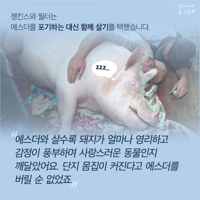 에스더 이미지