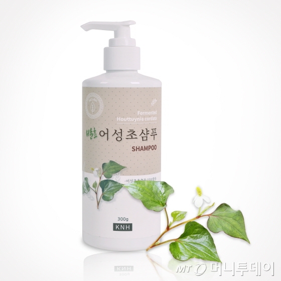 케이엔에이취 이미지
