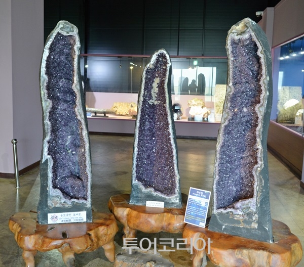 제주화석박물관 이미지