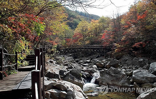 뱀사골특산품 이미지