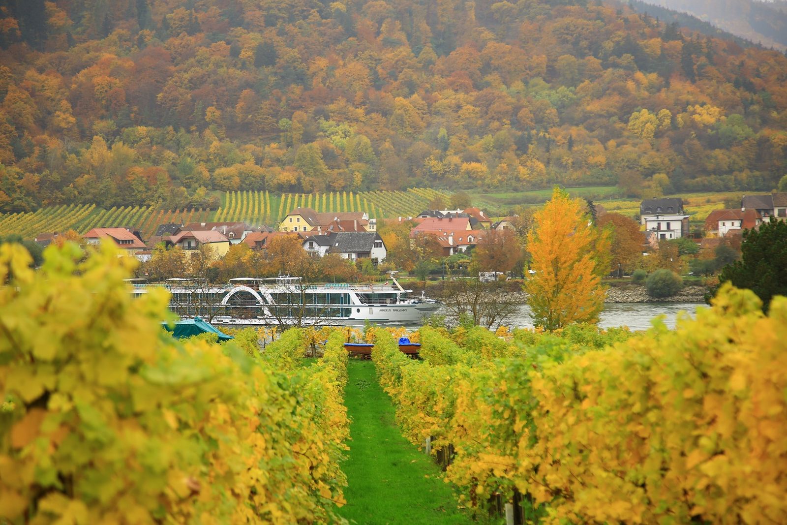 바하우에는 도나우 강을 물길 따라 포도밭과 작은 마을이 이어진다.
