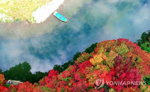 연리지미디어 이미지