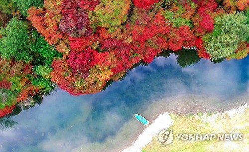 연리지미디어 이미지