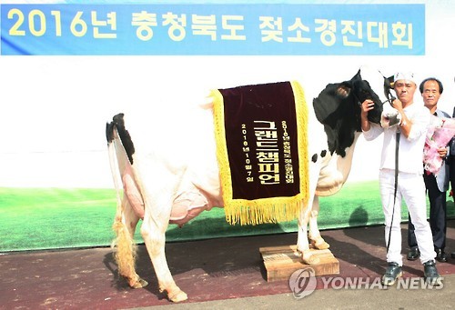 충북낙농업협동조합 이미지