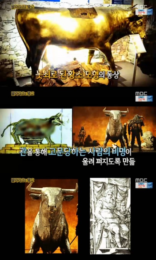 황소 이미지