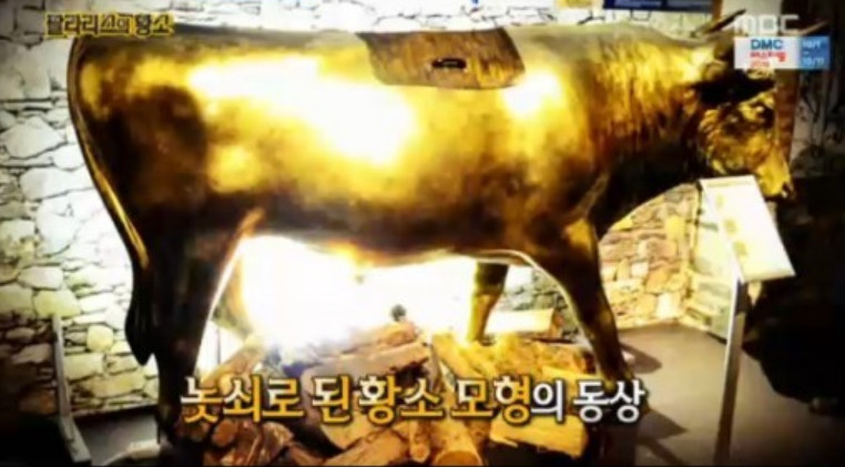 황소 이미지