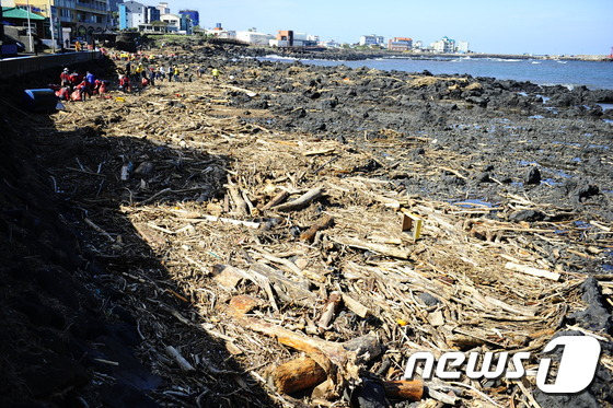 태풍에 제주 바다 '쑥대밭'..