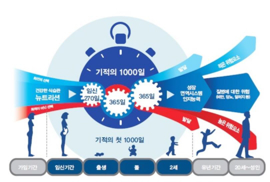 네슬레코리아 유한책임회사 이미지