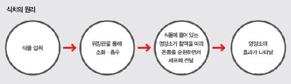 [헬스조선]<표> 식치의 원리