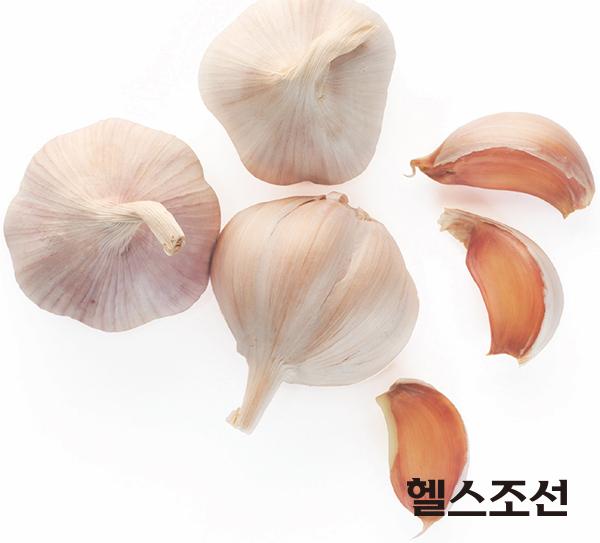 [헬스조선]마늘