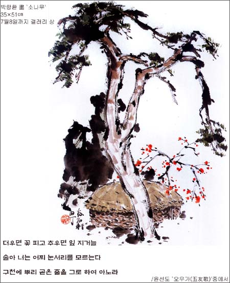 미갤러리 이미지