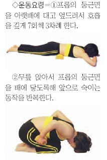프롭 이미지