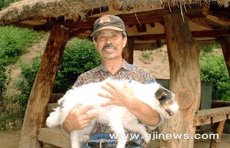 화랑장 이미지