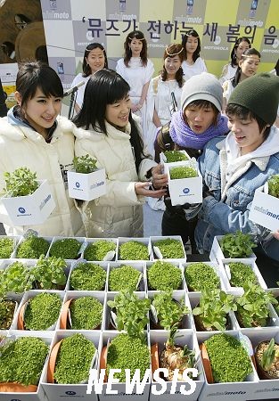뮤즈노래광장 이미지