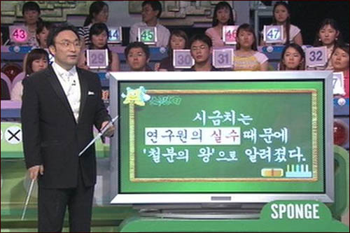 스펀지 이미지