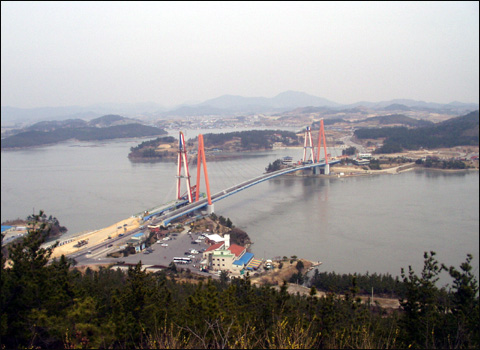 진도순대 이미지