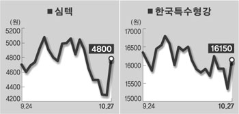 (주)심텍 이미지