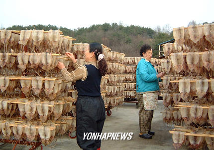 영동산골오징어(주) 이미지