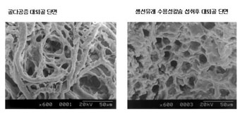바다기획 이미지