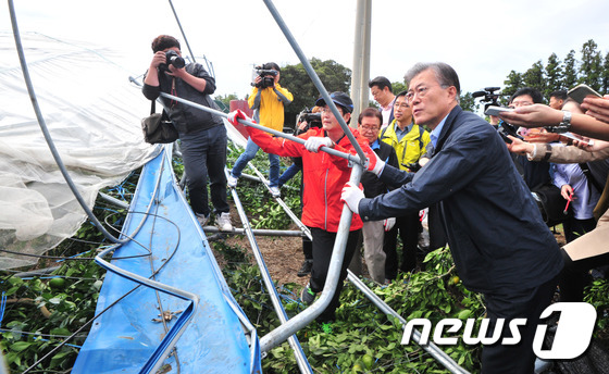 제주특별자치도개발공사(감귤1공장) 이미지