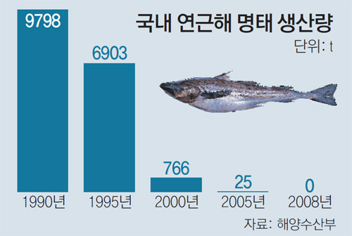 명태랑고기랑 이미지