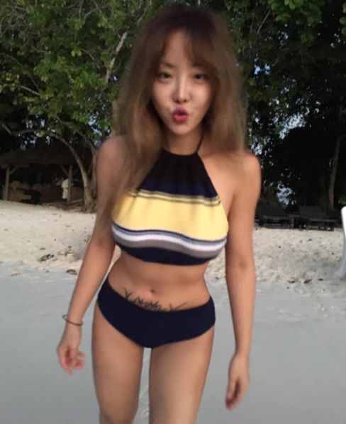 나르샤 이미지