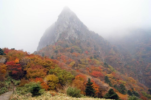 한라산 첫 단풍 '16일 예고'..넷째 주말 절정 - 연합뉴스