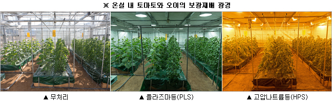 보광 이미지