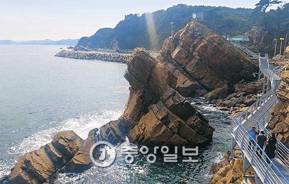 정동진수산 이미지