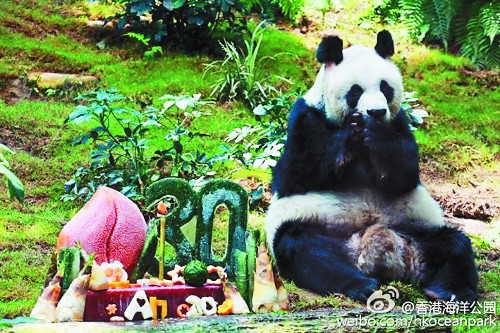 자자(佳佳) 이미지
