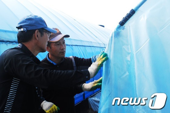 멜론2 이미지