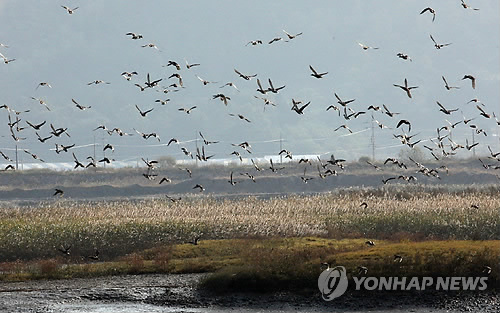 '남도 길따라 가을정취를'..여행주간 전남 관광행사 풍성 - 연합뉴스
