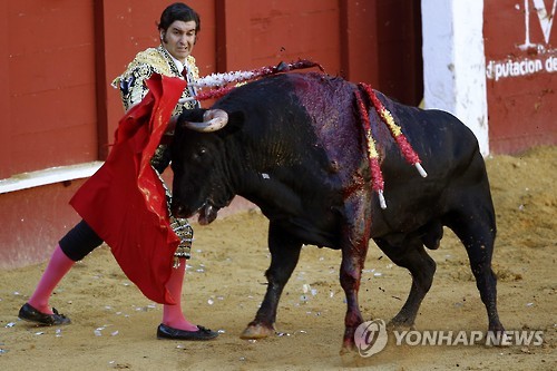 스페인 헌재 