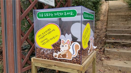 도토리 이미지