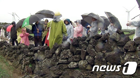 밭담 이미지