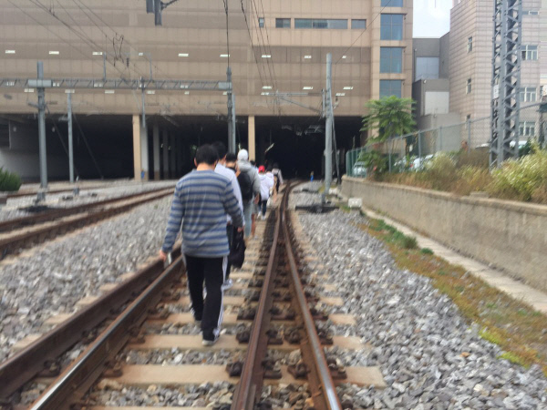 선 인력 이미지