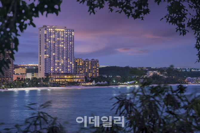 사치 이미지