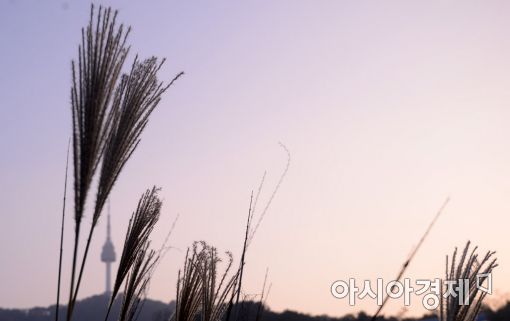 [오늘 날씨] 23일 전국 쌀쌀한 날씨, 낮 최고기온 13~22도 - 아시아경제