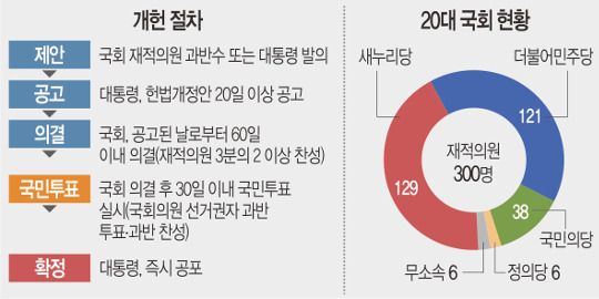 20대 개헌모임 200여명 동참 '개헌선 확보' - 국민일보