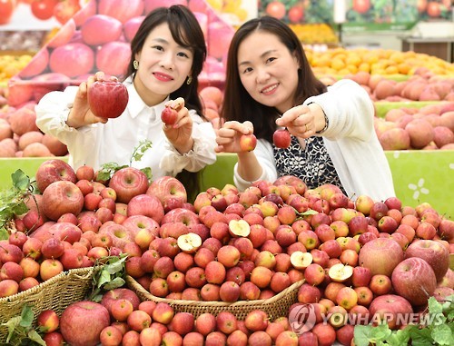 미니유통 이미지
