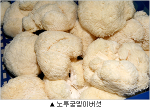 푸른환경개발 이미지