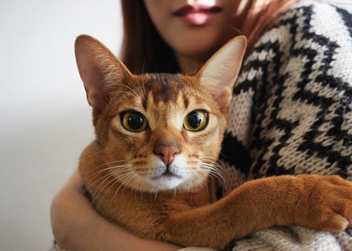 하준사 이미지