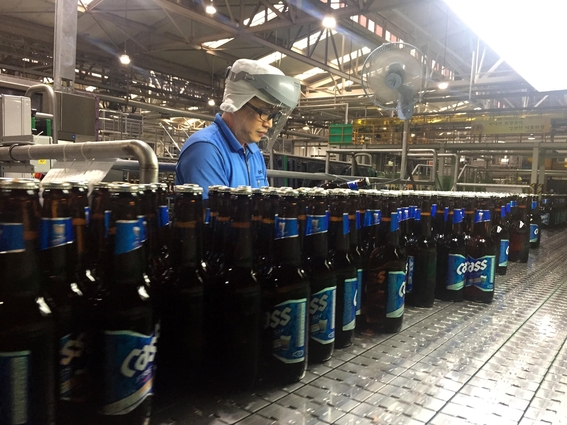 5000맥주 이미지