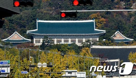 '최순실 귀국부터 靑참모진 사퇴' 준비된 수습 절차? - 뉴스1