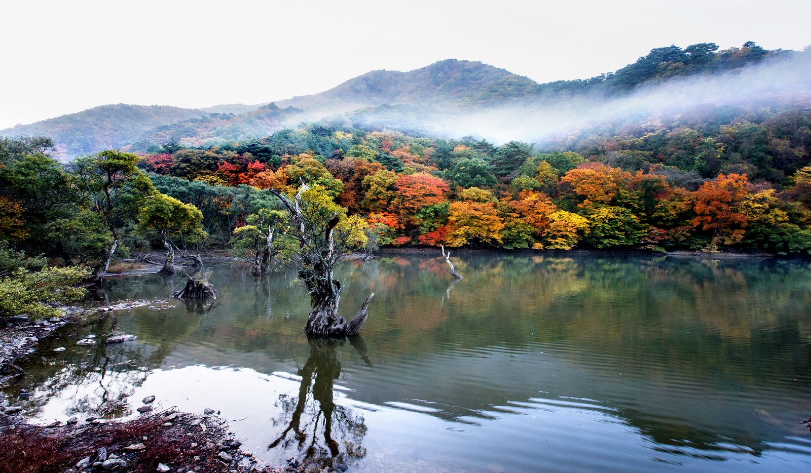 주왕산 주산지.