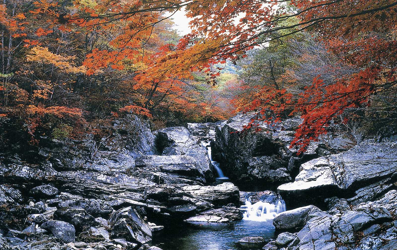 지리산국립공원 피아골.